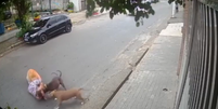 Grávida cai ao proteger cão de ataque em SP  Foto: Reprodução