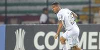 Foto: Vitor Silva/Botafogo - Legenda: Allan em ação pelo Botafogo / Jogada10
