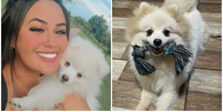 Mulher denuncia ex-companheiro por matar cachorro de estimação a facadas  Foto: Reprodução/Facebook/Emilly Talita