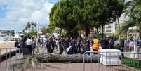 Queda de palmeira deixa homem gravemente em Cannes, em pleno festival de cinema  Foto: Lewis Joly/Invision/AP - Lewis Joly / RFI