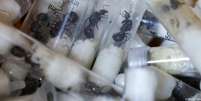 Prova do crime: formigas Messor cephalotes seriam contrabandeadas em tubinhos forrados de algodão Foto: DW / Deutsche Welle