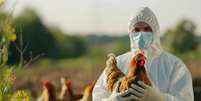 Entenda se existe risco de se contaminar ingerindo ovos ou frango  Foto: Freepik