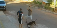 Homem usa pedra para parar ataque de pitbull em Goiânia  Foto: Reprodução/TV Globo