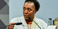 Vera Lúcia Santana Araújo, ministra do TSE Foto: Agência Senado