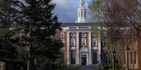 Harvard classificou a decisão do governo Trump como 'ilegal'  Foto: Reuters / BBC News Brasil