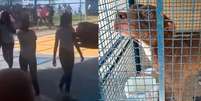 Pitbull invade escola do RJ, e seis crianças ficam feridas  Foto: Reprodução/X/JadsonBastos