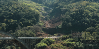 Mata Atlântica é o bioma brasileiro que mais sofreu transformações nos últimos séculos  Foto: Divulgação/SOS Mata Atlântica