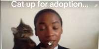 Jovem é surpreendida por gato enquanto grava vídeo para entrevista de emprego Créditos: Reprodução TikTok  Foto: Créditos: Reprodução TikTok