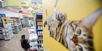 O acordo de fus&atilde;o entre as duas varejistas de produtos para animais de estima&ccedil;&atilde;o foi anunciado em agosto de 2024  Foto: Werther Santana/Estad&atilde;o / Estad&atilde;o