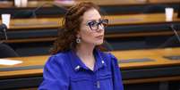 Carla Zambelli em audiência na Comissão de Relações Exteriores e de Defesa Nacional, em dezembro de 2024  Foto: Divulgação/Vinicius Loures/Câmara dos Deputados