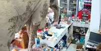 Plai Biang Lek é um elefante macho já conhecido na região  Foto: Reprodução/Redes sociais