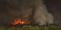 Incêndios florestais estão entre os causadores de desmatamento no Brasil  Foto: Agência Brasil/Marcelo Camargo