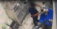Cachorra é agredida durante tosa em pet shop e fica com lesão no olho  Foto: Reprodução/TV Globo