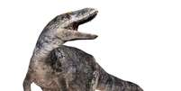 Desenho de um Khankhuuluu mongoliensis, o ancestral do tiranossauro recém-descoberto Foto: Masato Hattori / BBC News Brasil