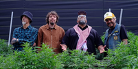 Planet Hemp anuncia turnê de despedida  Foto: Reprodução/Instagram/@planethempbanda