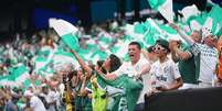 Torcedores do Palmeiras no MetLife Stadium, em Nova Jérsei, em jogo contra o Porto  Foto: Selcuk Acar/Anadolu via Getty Images