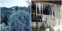 Santa Catarina tem geada e registra -8ºC, menor temperatura do ano  Foto: Reprodução/Instagram/urupemaoficial/