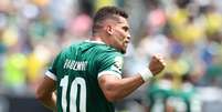 Paulinho, do Palmeiras, comemora gol contra o Botafogo  Foto: Cesar Greco/Palmeiras