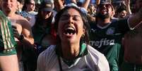 S&Atilde;O PAULO 28/6/2025 - PALMEIRAS X BOTAFOGO - ESPORTES - Mundial de Clubes - Torcedores se concentram em volta do Allianz Parque, no bairro de Perdizes, zona oeste de S&atilde;o Paulo, para acompanhar o jogo entre Palmeiras e Botafogo pelo Mundial de Clubes da Fifa - Na foto comemoram gol do Paulinho.  Foto: F&aacute;bio Vieira/Estad&atilde;o / Estad&atilde;o