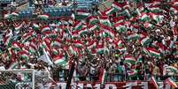 Torcida do Fluminense nos Estados Unidos  Foto: LUCAS MERÇON / FLUMINENSE F.C