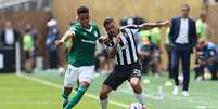Estêvão, do Palmeiras, contra o Botafogo  Foto: Cesar Greco/Palmeiras