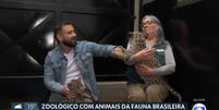 Repórter da Globo é "atacado" por filhote de onça  Foto: Reprodução/Globo