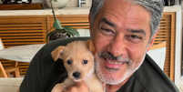William Bonner com o cachorro da filha, Bruce William Foto: Reprodução/Instagram/@realwbonner