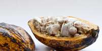 Cacau é alimento funcional poderoso Foto: Freepik