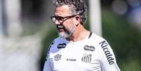 Cléber Xavier, técnico do Santos Foto: Gávea News