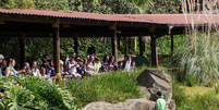 Animália Park une parque de diversão e zoo em São Paulo Foto: Divulgação/Facebook/Animalia