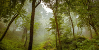 Vivo é destaque na "A List "do CDP por atuação contra as mudanças climáticas Foto: Mohammed Ahmed na Unsplash