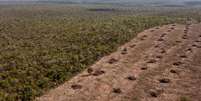 Vista a&eacute;rea do desmatamento do Cerrado nativo em S&atilde;o Desiderio, oeste do estado da Bahia. Imagem ilustrativa feita em 25 de setembro de 2023.  Foto: AFP - FLORENCE GOISNARD / RFI