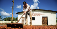No Pará, mais de 2 mil produtores rurais são atendidos pelo Programa Territórios Sustentáveis (TS) em 43 municípios, com ações de fomento ao desenvolvimento socioeconômico. A iniciativa, gerida pela Secretaria de Estado de Meio Ambiente e Sustentabilidade do estado, é um exemplo local de transição para a economia de baixas emissões em áreas pressionadas pelo desmatamento.  Foto: Alex Ribeiro / Agência Pará, CC BY / The Conversation