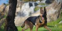Pastor Alemão é um ótimo cão de guarda Foto: Freepik