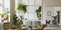 Plantas na decoração oferecem conforto e bem-estar Foto: Followtheflow | Shutterstock / Portal EdiCase