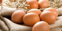 Alguns alimentos podem substituir o ovo na dieta e são igualmente ricos em nutrientes Foto: Sea Wave | Shutterstock / Portal EdiCase
