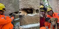 Montagem mostra bombeiros ajudando no resgate de cão na cidade de Betim (MG)  Foto: X/@Bombeiros_MG / Reprodução