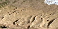 Desenhos rupestres reaparecem em praia do Havaí após maré baixa  Foto: Reprodução/Hawaii News Now