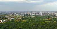 Em Campo Grande, capital de Mato Grosso do Sul, apenas 8,53% das moradias ficam em vias sem arborização urbana, segundo o Censo do IBGE  Foto: Saul Schramm/Agência de Noticias do Governo de Mato Grosso do Sul