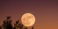 Lua Cheia de agosto Foto: Unsplash / Personare