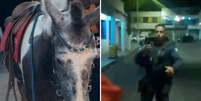 Vídeo: PM mata cavalo 'famoso', dono é preso e revolta moradores no Espirito Santo / Reprodução  Foto: Contigo