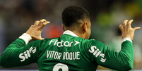 Vitor Roque publicou imagem de tigre mordendo o pescoço de um veado após a vitória contra o São Paulo Foto: Cesar Greco/SE Palmeiras