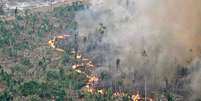 Fumaça de incêndio criminoso na Floresta Amazônica, em agosto de 2024  Foto: ANSA / Ansa - Brasil