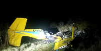 O avião caiu em uma fazenda no Pantanal  Foto: Divulgação/Polícia Civil MS