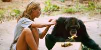 A jovem Jane Goodall com um chimpanzé na Tanzânia, no início dos anos 1960.  Foto: National Geographic / RFI
