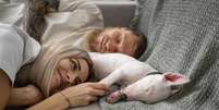 Especialista recomenda que cães durmam na cama com seus turores Foto: Freepik