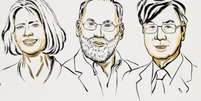 Trio de pesquisadores é responsável por descobertas na área de imunologia Foto: Reprodução/@nobelprize