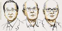Os cientistas Susumu Kitagawa, Richard Robson e Omar M. Yaghi, em ilustração divulgada pelo Prêmio Nobel de Química 2025 Foto: Divulgação