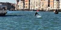 Golfinho avistado em canal no centro histórico de Veneza, na Itália Foto: ANSA / Ansa - Brasil