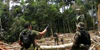 A derrubada de árvores para plantio da coca abre espaço para pastagem e mineração ilegal, financiada pelo tráfico. Foto: Polícia Federal do Amazonas e Polícia Nacional do Peru